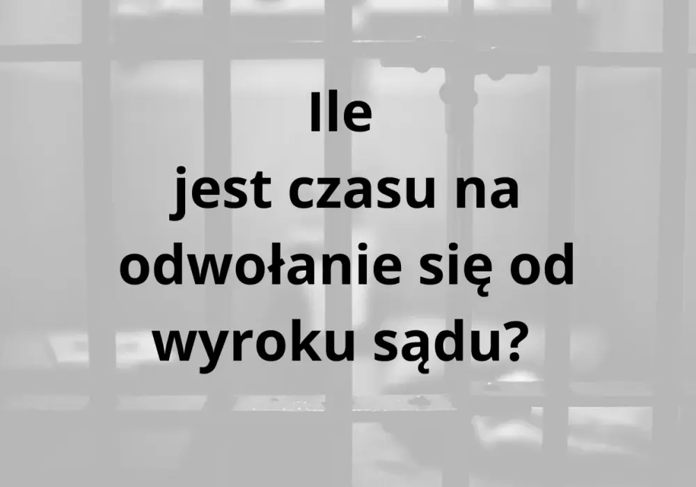 Odwołanie od wyroku - Kiedy ma sens i jak je skutecznie napisać?
