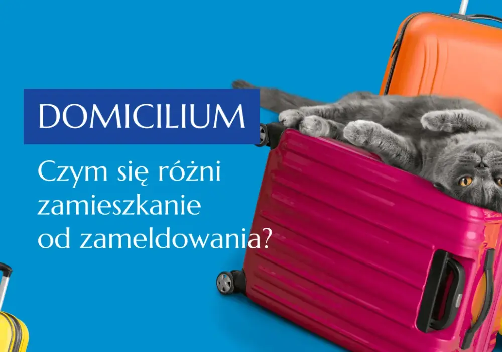 Miejsce zamieszkania a meldunek - Poznaj różnice i uniknij błędów