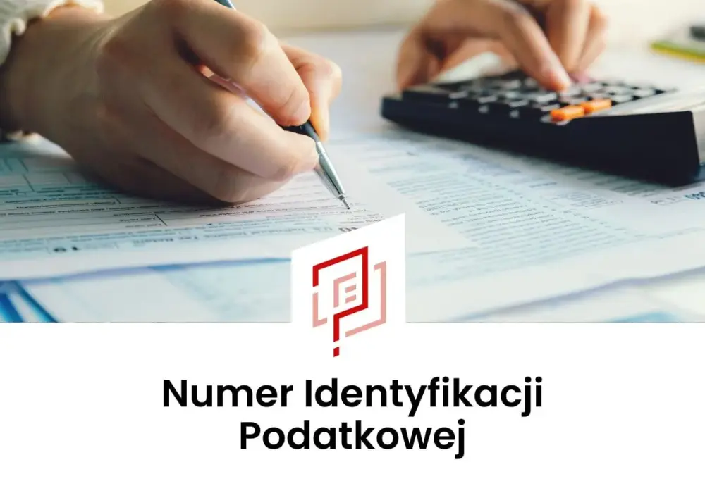 Jak sprawdzić swój NIP i odzyskać numer bez zbędnych formalności