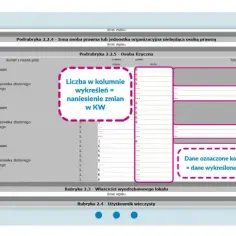 Kto może uzyskać odpis księgi wieczystej? Poznaj ważne informacje