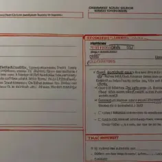 Jak napisać wniosek o umorzenie odsetek i uniknąć finansowych kłopotów