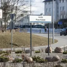 Jak cytować akty prawne w pracy magisterskiej - uniknij błędów w cytatach