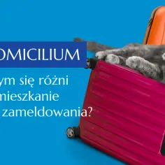 Szary kot leży na różowej walizce, otoczony innymi bagażami. Tekst pyta o różnicę między zamieszkaniem a zameldowaniem, czyli o adres zamieszkania.