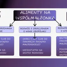 Schemat alimentów na żonę: rozwód bez orzekania o winie (do 5 lat lub niedostatek), z orzeczeniem o winie obopólnej (do 5 lat lub niedostatek), z wyłącznej winie (bezterminowo lub pogorszenie sytuacji materialnej).