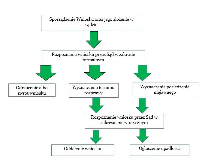 Zdjęcie Co robić po oddaleniu wniosku o upadłość - ważne kroki i porady
