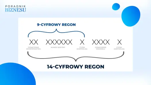 REGON - czym jest, jak go sprawdzić i kiedy się przydaje