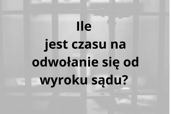 Odwołanie od wyroku - Kiedy ma sens i jak je skutecznie napisać?