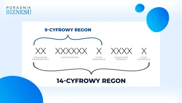 REGON - czym jest, jak go sprawdzić i kiedy się przydaje