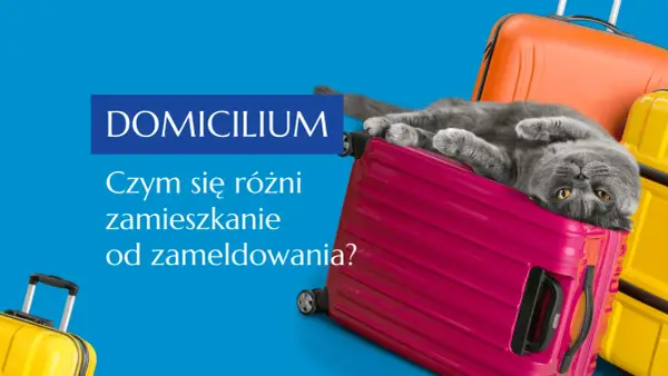 Miejsce zamieszkania a meldunek - Poznaj różnice i uniknij błędów
