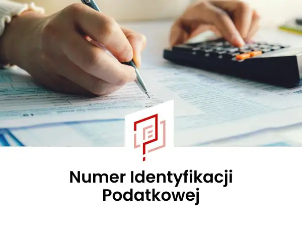 Jak sprawdzić swój NIP i odzyskać numer bez zbędnych formalności