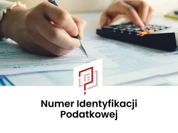 Jak sprawdzić swój NIP i odzyskać numer bez zbędnych formalności